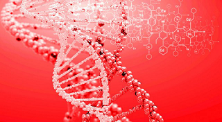 欧盟出台限度基因测试的新政策